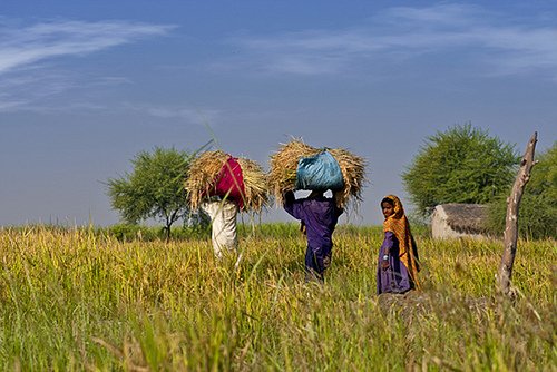 Pakistan people lifestyle