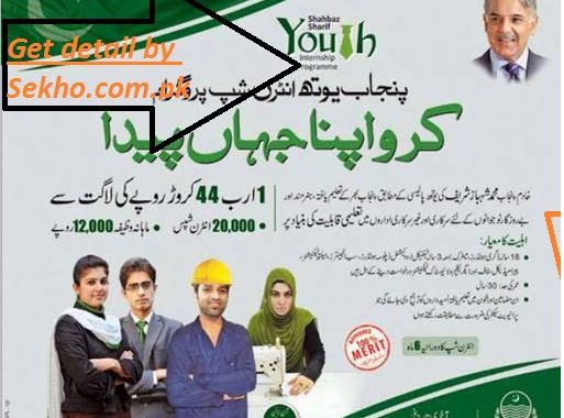 Punjab-Youth-Internship-Program-2014-Online-Registration-and-Detail