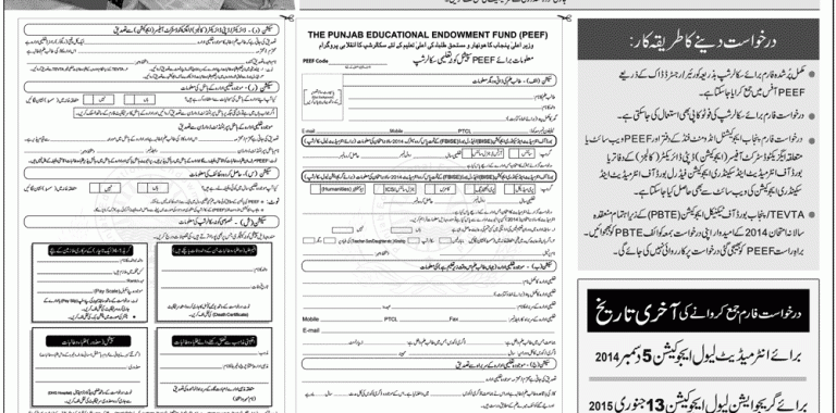 Punjab PEEF Special Quota Scholarship 2014 For Intermediate And Graduation