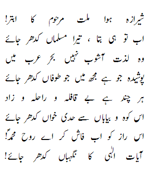 Allama Muhammad Iqbal In Urdu Language With Poetry