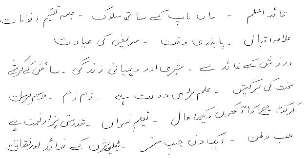 Urdu point essay