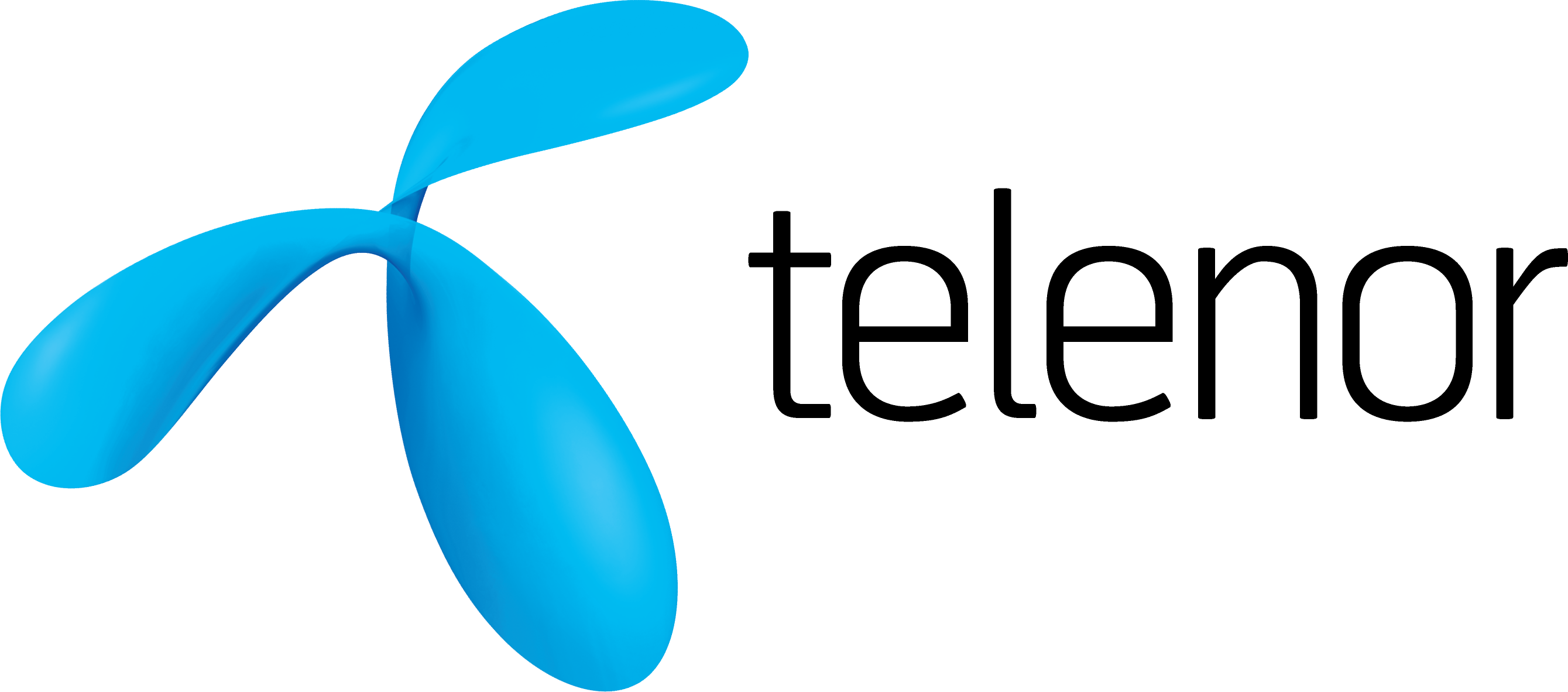 Telenor FNF Friends And Family Call Package 2021