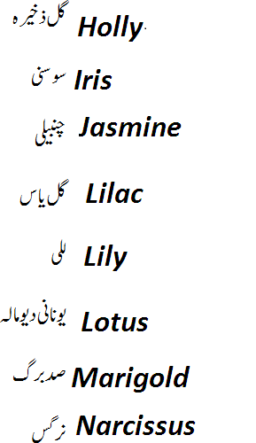 Names Of Flowers In English And Urdu