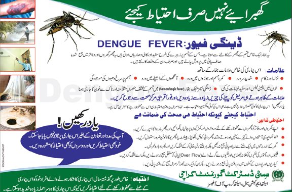 Dengue Fever Symptoms Causes Treatment In Urdu 01