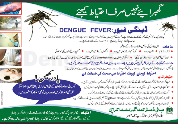 dengue-fever-symptoms-causes-treatment-in-urdu