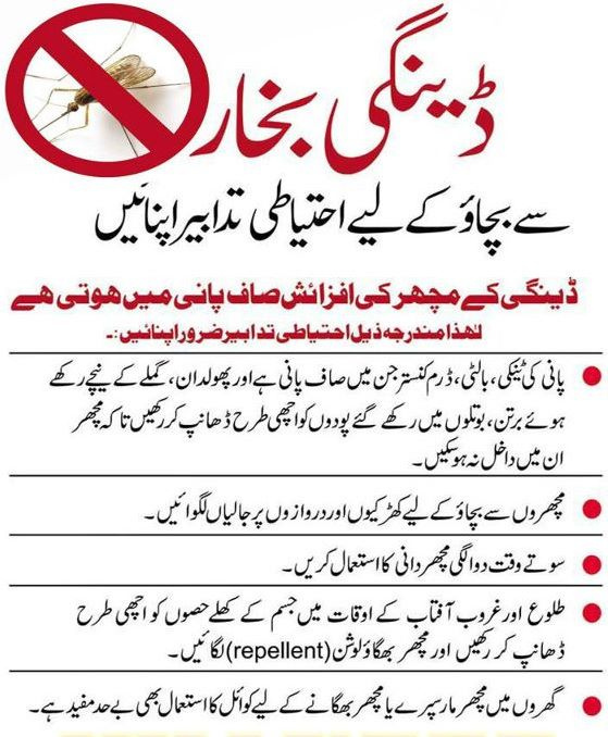 Dengue Fever Symptoms Causes Treatment In Urdu 02