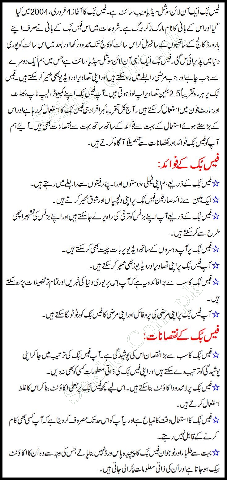 essay on facebook in urdu