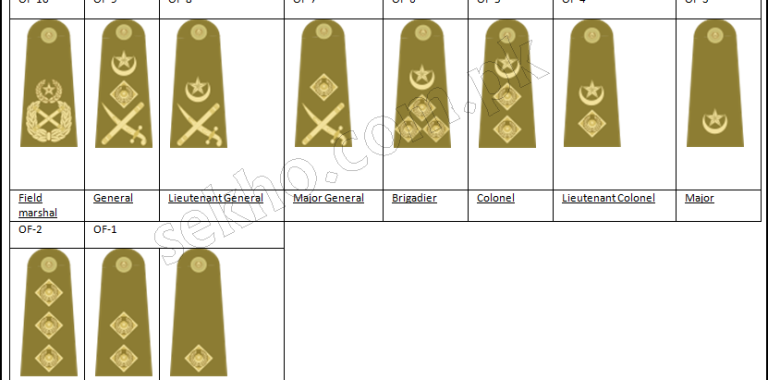 Pakistan Army Ranks And Badges With Salary Pay Scale