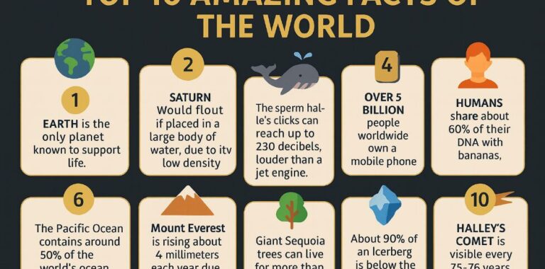 Top 10 Amazing Facts Of The World