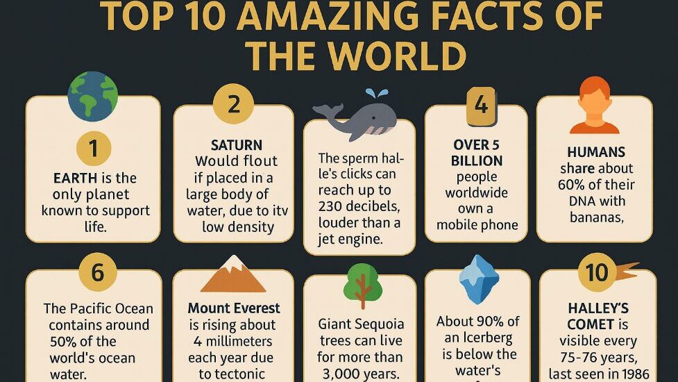 Top 10 Amazing Facts Of The World