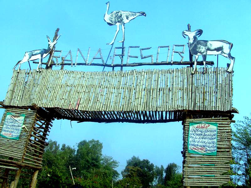 Rana Resort Safari Park Lahore, Location, Contact Number
