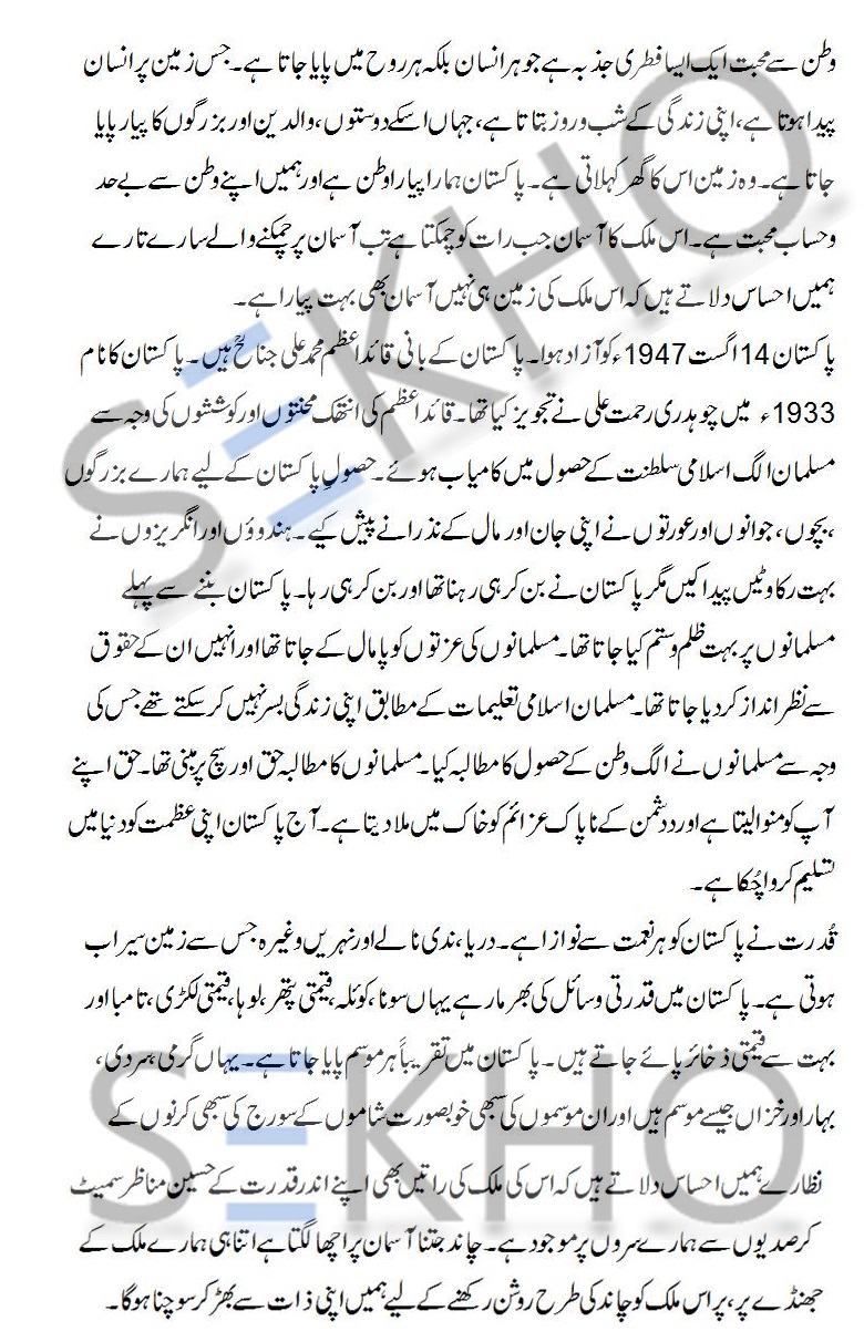 essay format urdu