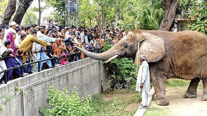 Lahore zoo