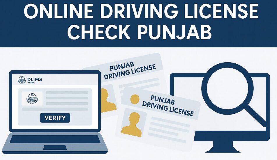Online Driving License Check Punjab