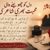 Heart Touching Love Poetry in Urdu