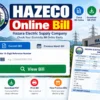 Hazara Electric Supply Company
