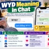 Wyd Meaning in Chat