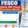 FESCO Online Bill Check Previous Month